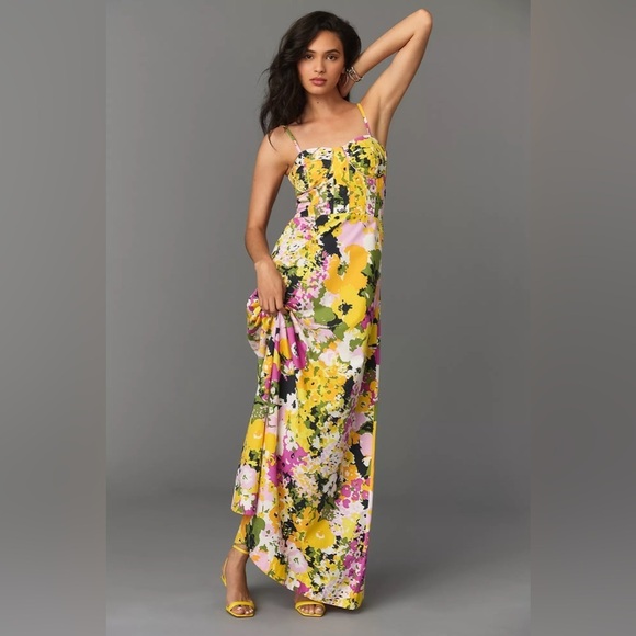 SWF by Anthropologie Dresses & Skirts - NWT S/W/F Printed Corset Maxi Dress